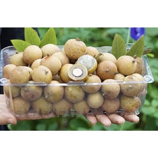 (Quận 10) Nhãn Quế miền Tây.
