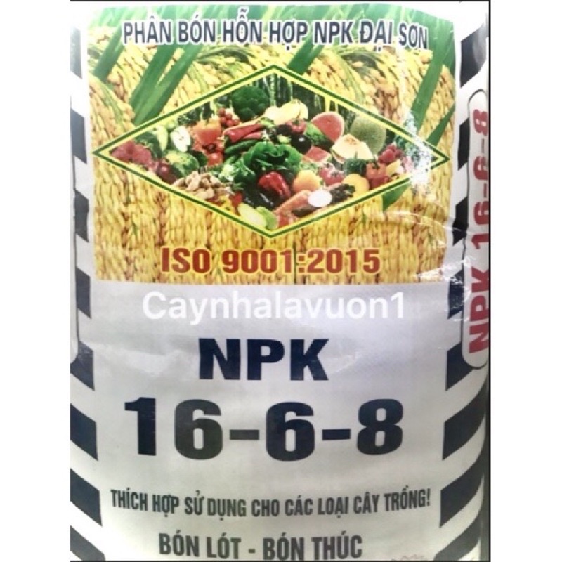 NPK 16-6-8 Đại Sơn dành cho các loại cây trồng giúp cây phát triển tốt, quả ngọt, to