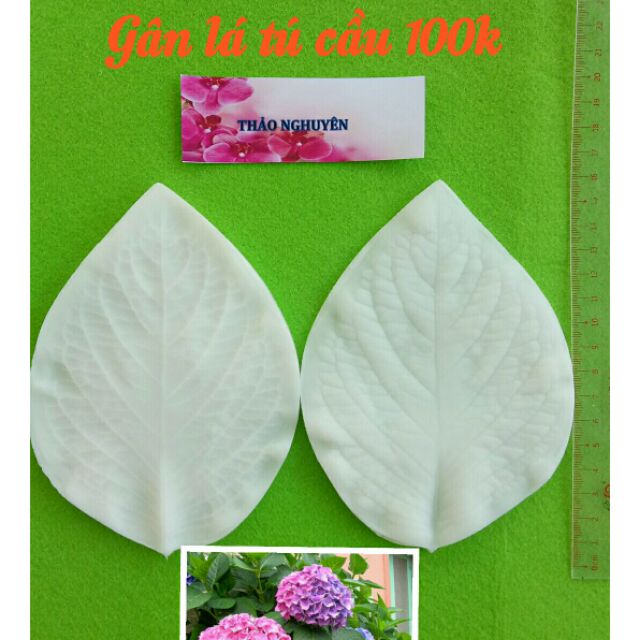 Gân silicone lá tú cầu