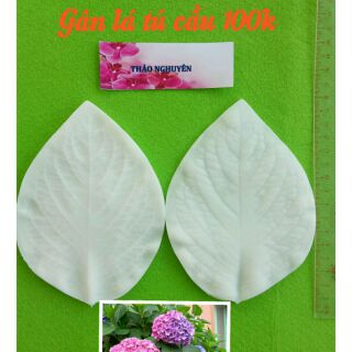 Gân silicone lá tú cầu