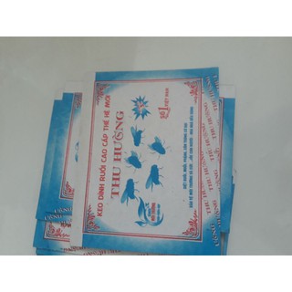 Tấm keo dính ruồi
