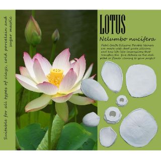 Khuôn vân hoa sen silicone dẻo khuôn hoa đất hoa đường