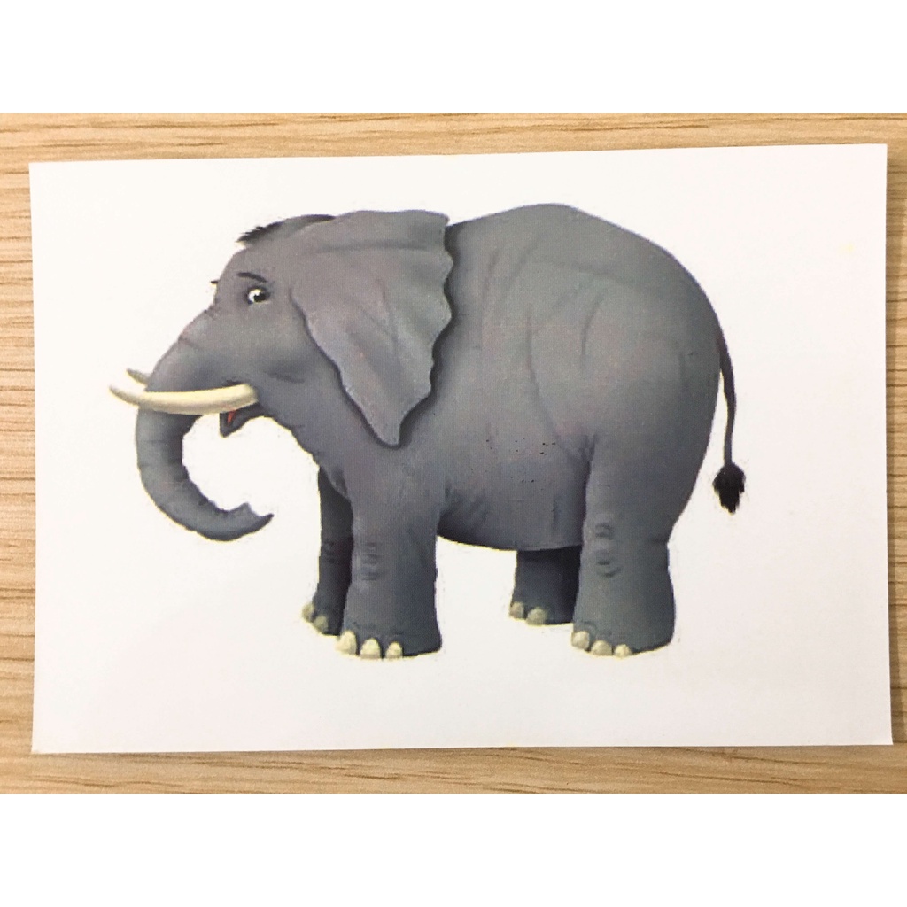 Thẻ Oxford Phonics World level 1 - 104 Thẻ