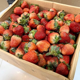 [ HỎA TỐC]  hộp 3kg dâu tây Mỹ đá Size NHẤT nhà trồng
