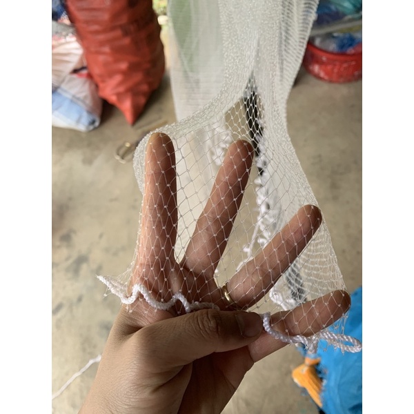chài cước không chì