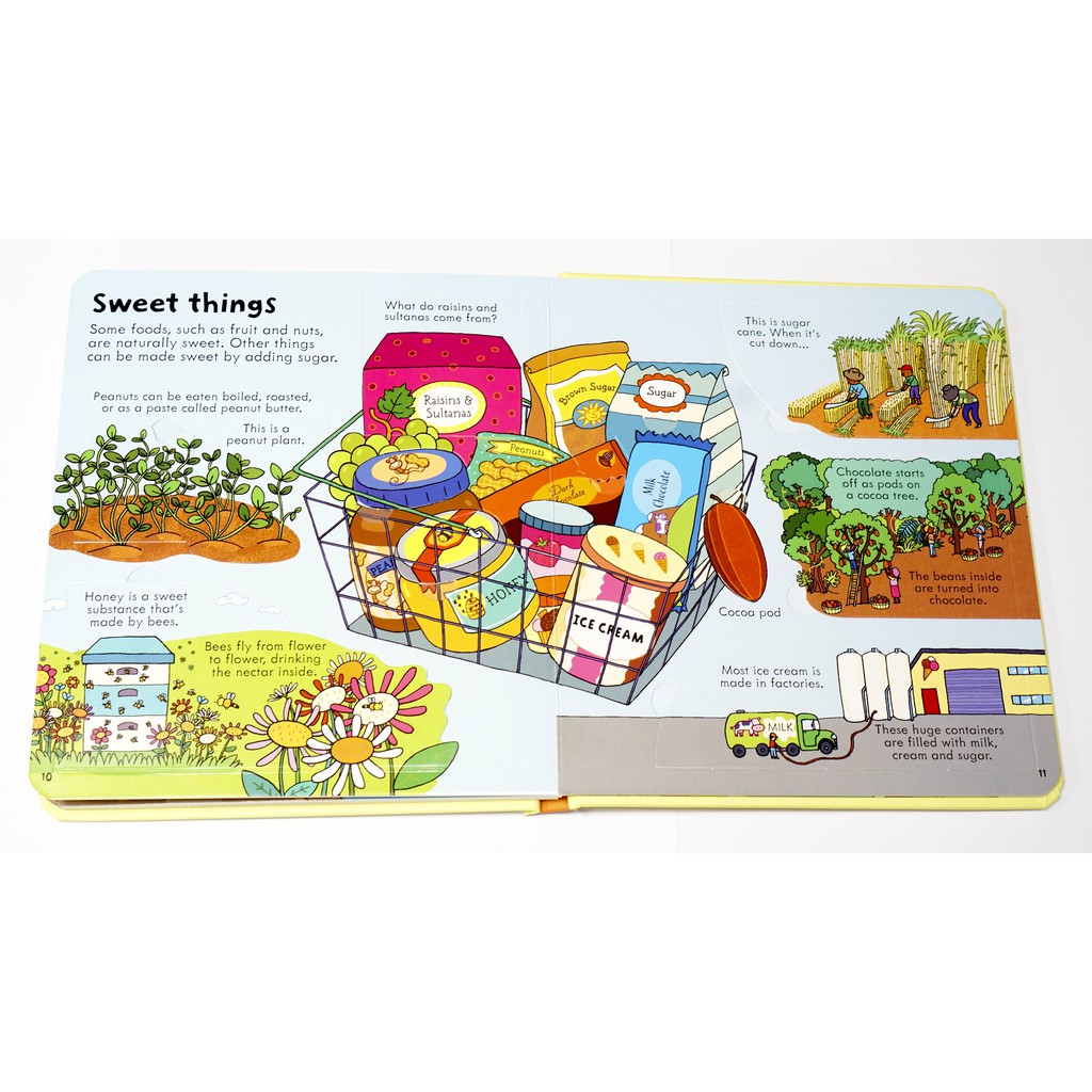 Sách lật mở Look Inside Food Usborne Lift the Flap | WebRaoVat - webraovat.net.vn