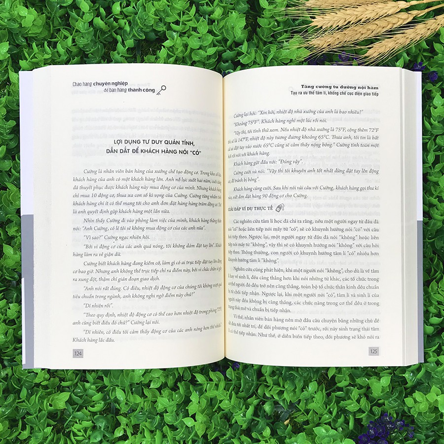 Sách - Chào Hàng Chuyên Nghiệp Để Bán Hàng Thành Công | BigBuy360 - bigbuy360.vn
