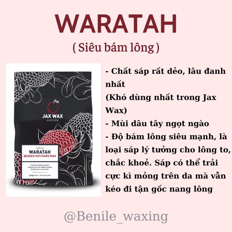 SÁP JAX WAX NÓNG WARATAH DẠNG HẠT