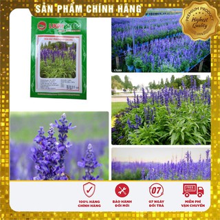 Hạt Giống Hoa Xác Pháo Xanh