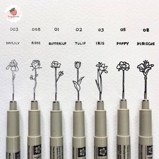 Bút đi nét Micron Sakura