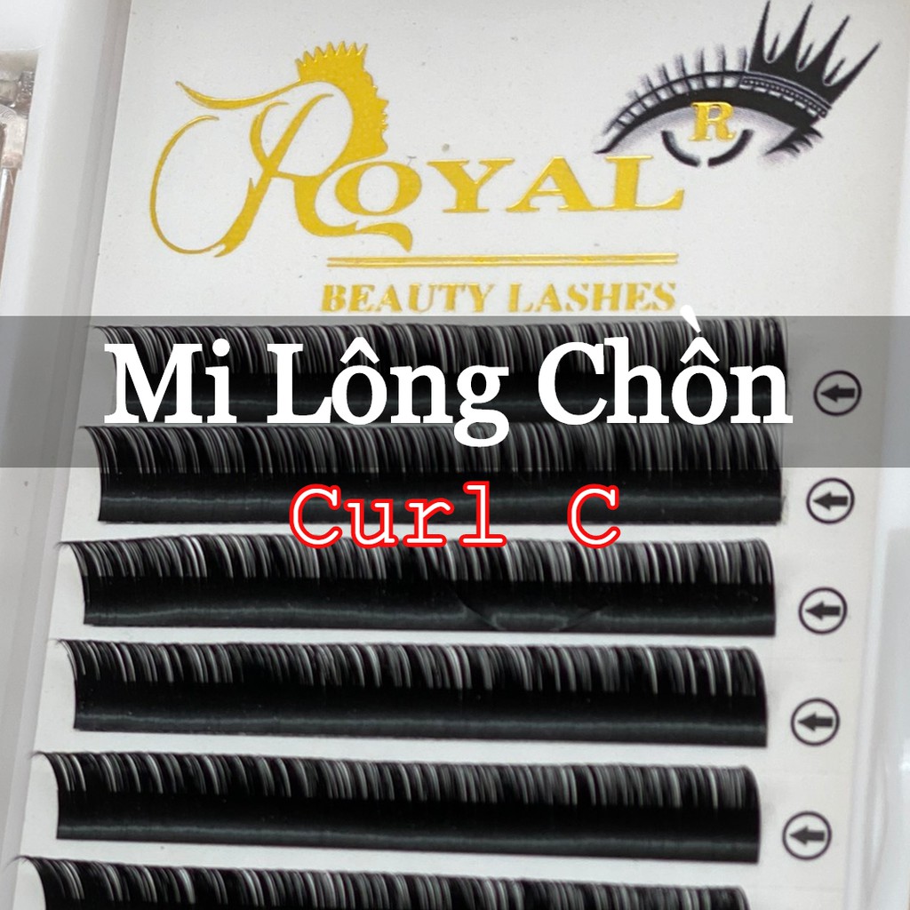 Mi Khay ROYAL Lông Chồn Cao Cấp độ cong C. ( 8-15mm, 0.05-0.15)