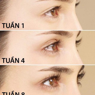 Dưỡng Mi Eveline 8 in 1 Total Action 10ml