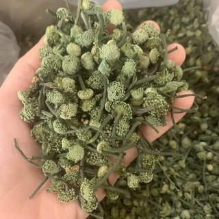 Nụ tam thất bao tử nụ bé Vip 100g