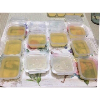 Thanh lý nốt Khay chia thức ăn RICHELL
