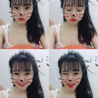 Mái thưa giả không mai