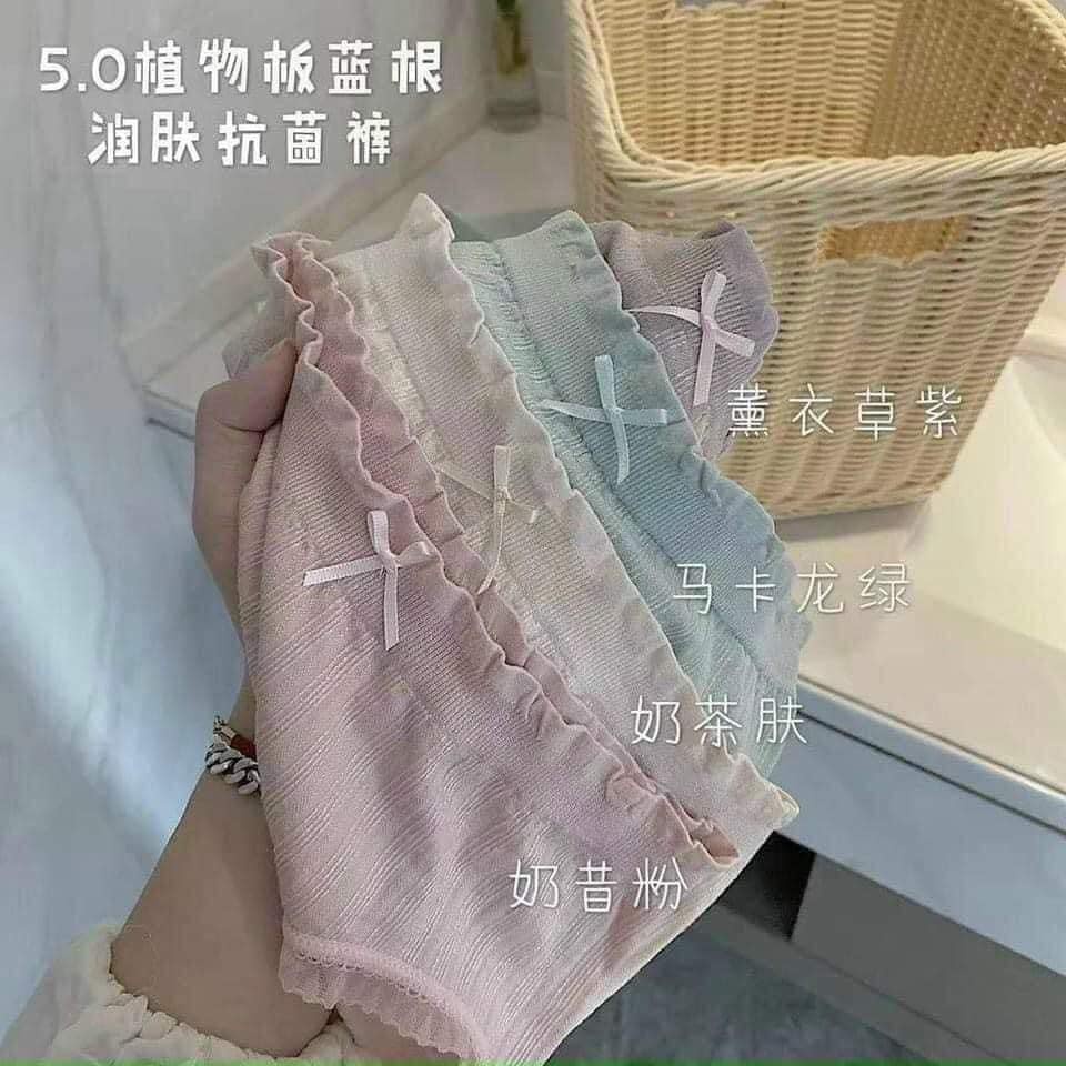 Quần lót nữ, quần chip cotton kháng khuẩn thoáng mát phối viền đính nơ xinh - mã HHH | BigBuy360 - bigbuy360.vn