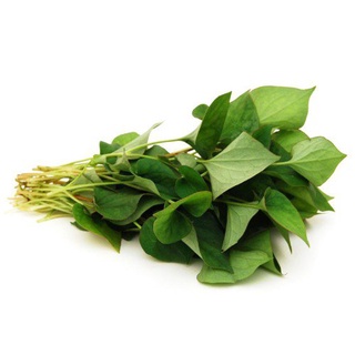 Bột diếp cá sấy lạnh Minh Hiền Đà Lạt