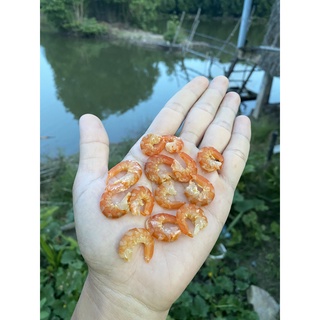 Sample Tôm Khô 10g Con Tôm Rừng - Cà Mau