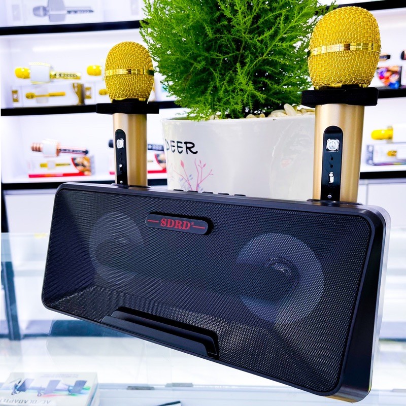 Loa Hát Karaoke Bluetooth SD-301 Kèm 2 Micro Không Dây