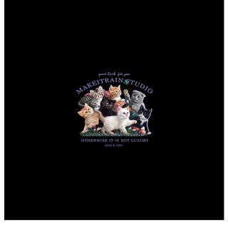 [ORDER] Áo Phông Make It Rain Kittens Oversize