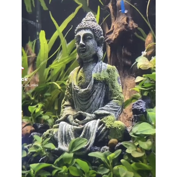 Tượng Phật Thủy Sinh Trang Trí Bể Cá Cảnh- Tiểu Cảnh- Hòn Non Bộ