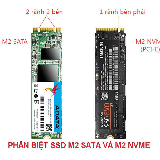 Card chuyển đổi SSD M.2 NVMe sang chuẩn PCI-E X4 VÀ X16 - HÀNG CÓ SẴN - NOW SHIP - GRAB HỒ CHÍ MINH