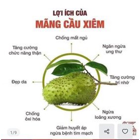 300g Mãng cầu sấy dẻo xốc muối ớt cay cay chuẩn vị nhà làm 100% mãng cầu hái vườn quê