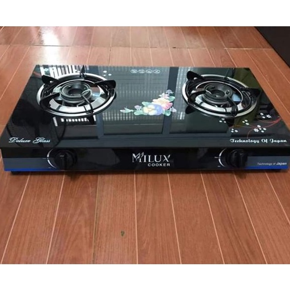 Bếp ga đôi mẫu mới nhất 2022