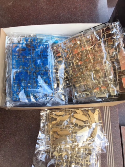 Mô hình lắp ráp PG 1/60 Phenex NT