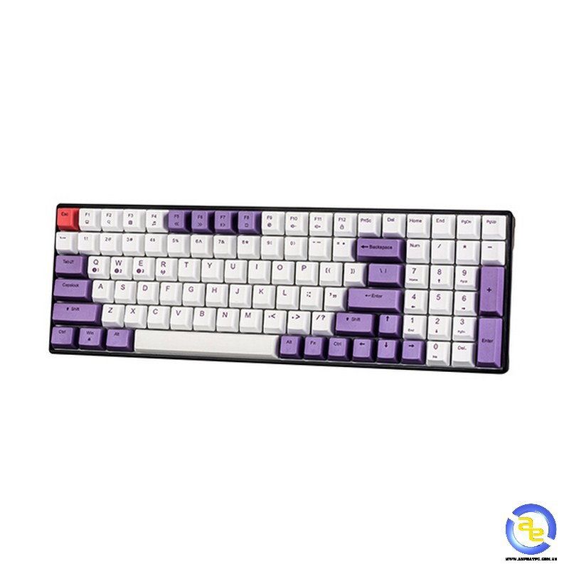 Bàn phím cơ EDRA EK396W Bluetooth Gateron Chính hãng BH 24 tháng