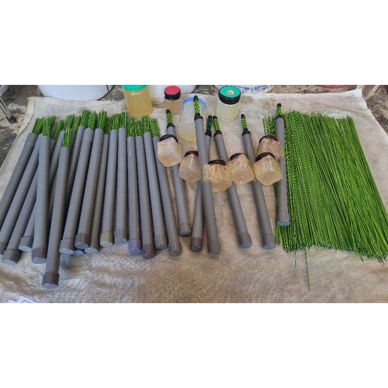 Bộ Bẫy chim bằng keo