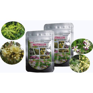PHÂN KÍCH THÍCH RA HOA ĐẬU TRÁI NUTRILUX 10-50-10 100g