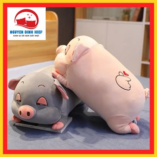 Gối ngủ văn phòng 💖FREESHIP💖 Bộ chăn gối văn phòng hình heo mắt híp