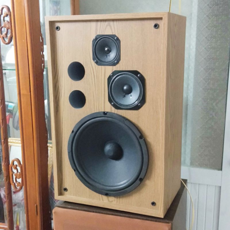 Một đôi loa karaoke nghe nhạc tổng công suất thực 250w