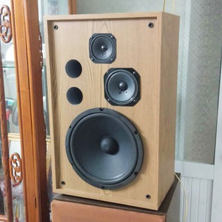 Một đôi loa karaoke nghe nhạc tổng công suất thực 250w