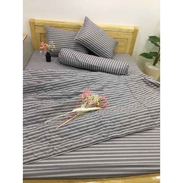 Sale Bộ chăn ga 100% cotton Hàn Quốc 5 món 1m đến 1m8 GỐI ÔM DÂY KHOÁ | BigBuy360 - bigbuy360.vn