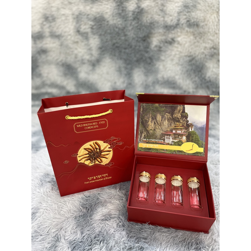 SET TÚI VÀ HỘP ĐỰNG ĐÔNG TRÙNG HẠ THẢO - KHAY 4