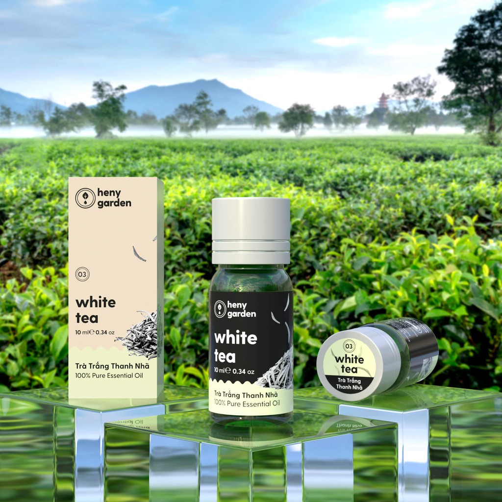 Tinh Dầu Trà Trắng Organic Thiên Nhiên Nguyên Chất Đậm Đặc Xông Thơm Phòng, Làm Nến Thơm HENY GARDEN