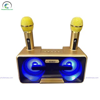 Loa karaoke mini SD301 tặng kèm 2 micro không dây