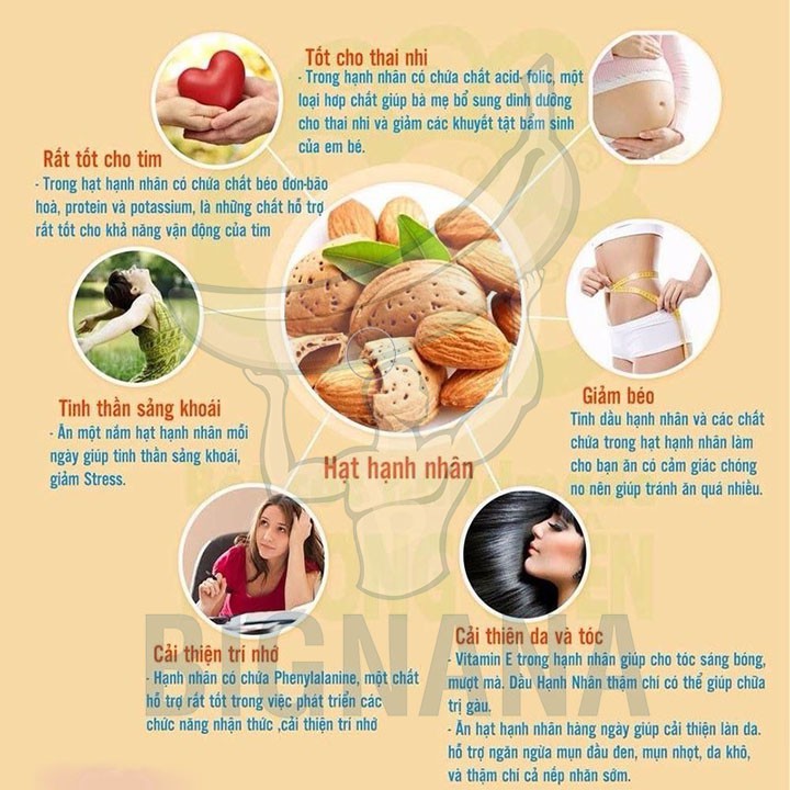 Siêu Giảm Tháng 9, Hạnh Nhân Tách Vỏ Hàng Mỹ Nguyên Vị Hộp 500gr Loại Đặc Biệt, Giảm Cân Đẹp Da | BigBuy360 - bigbuy360.vn