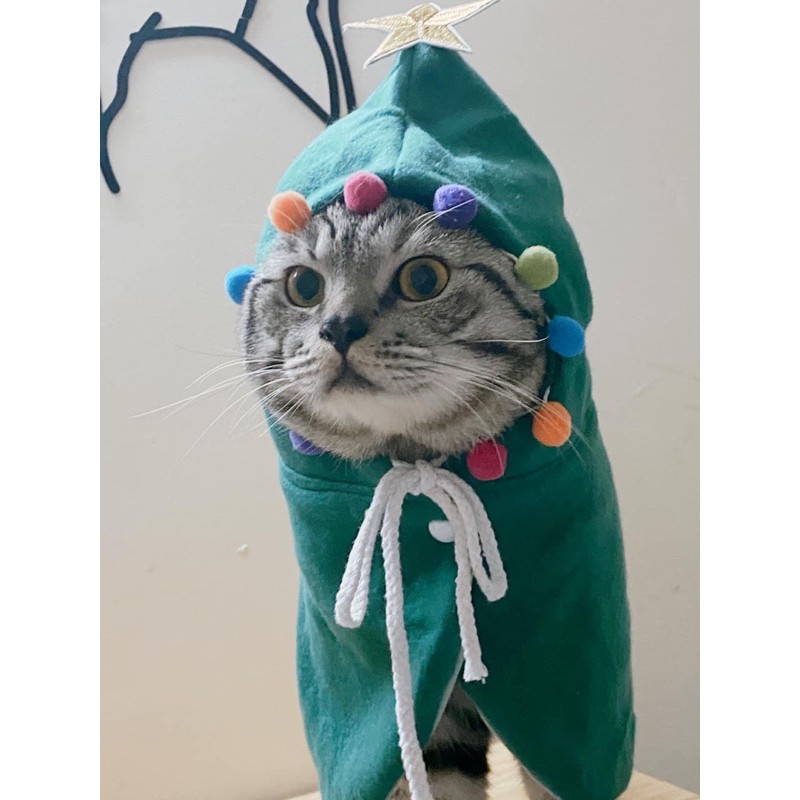 ÁO CHOÀNG NOEL CHO MÈO