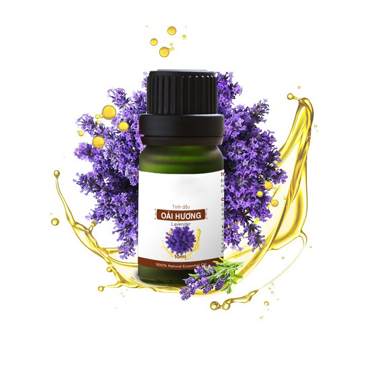 Tinh Dầu Lavender Lọ Nhỏ Giọt 10ml Tinh Dầu Thiên Nhiên Dùng Khuyến Tán Xông Thơm Phòng