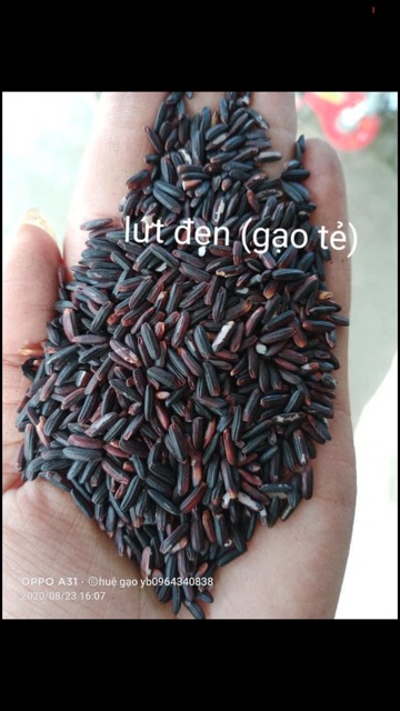 Combo 5kg gạo lứt đen