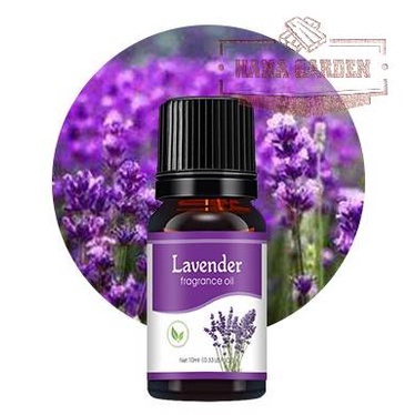 Tinh dầu Oải Hương | Lavender Essential Oil |CHẤT LƯỢNG giúp thư giản 10ml