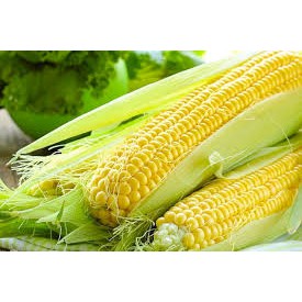 HẠT GIỐNG NGÔ NGỌT GÓI 30 HẠT