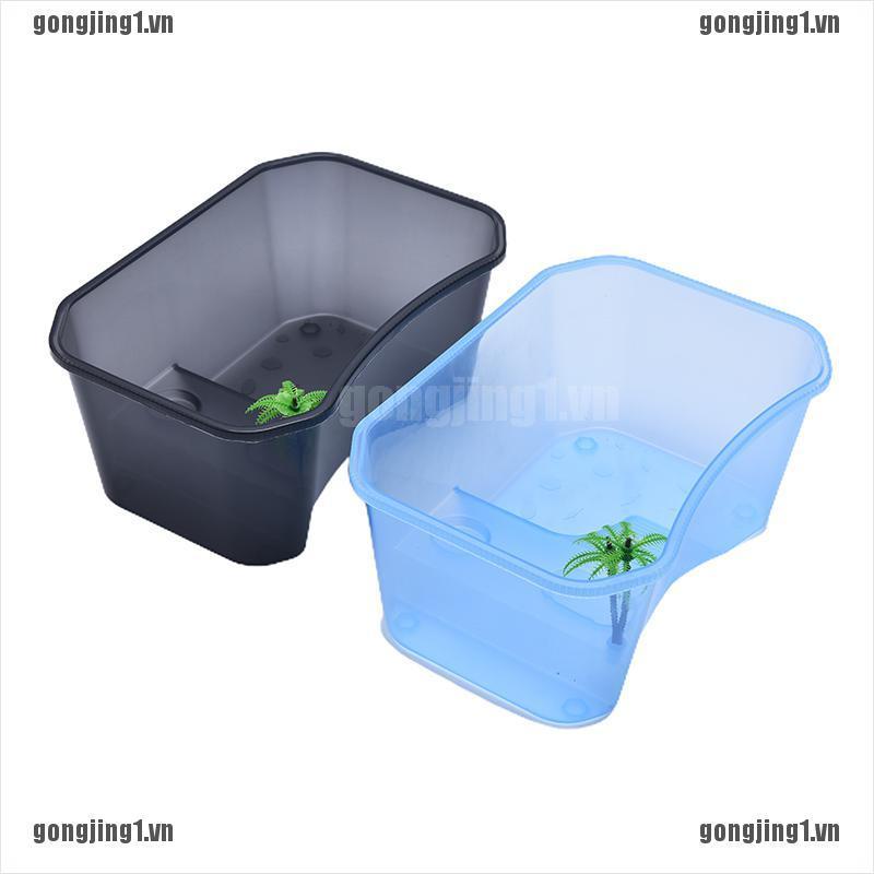 Hộp Nhựa Dùng Nuôi Rùa Tiện Lợi