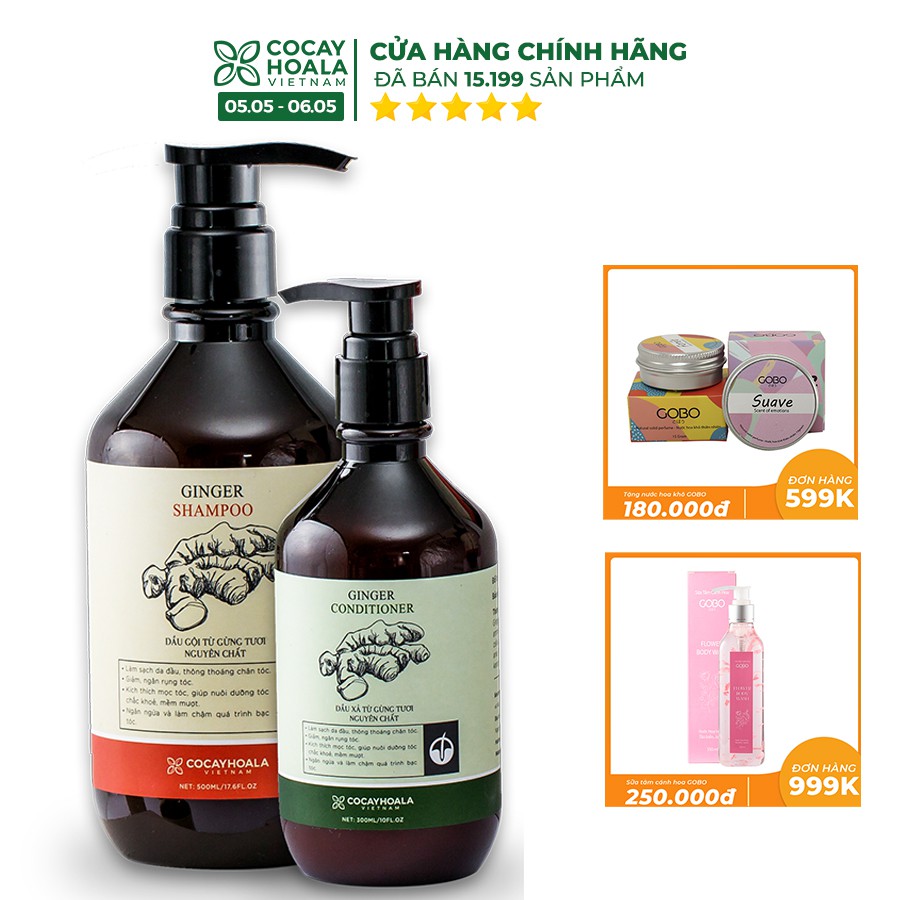 Bộ dầu gội xả gừng tươi Cocayhoala kích thích mọc tóc dầu gội 500g dầu xả 300g