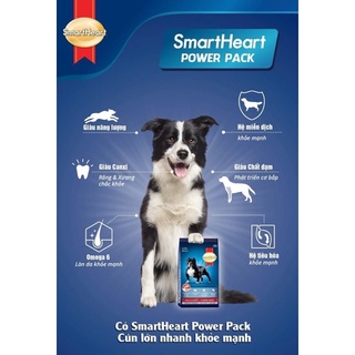 Thức ăn khô cho chó con SmartHeart Power Pack Puppy 3kg tăng cơ bắp, giàu năng lượng