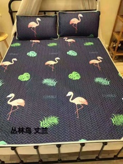 Chiếu lụa điều hoà tenced 2D