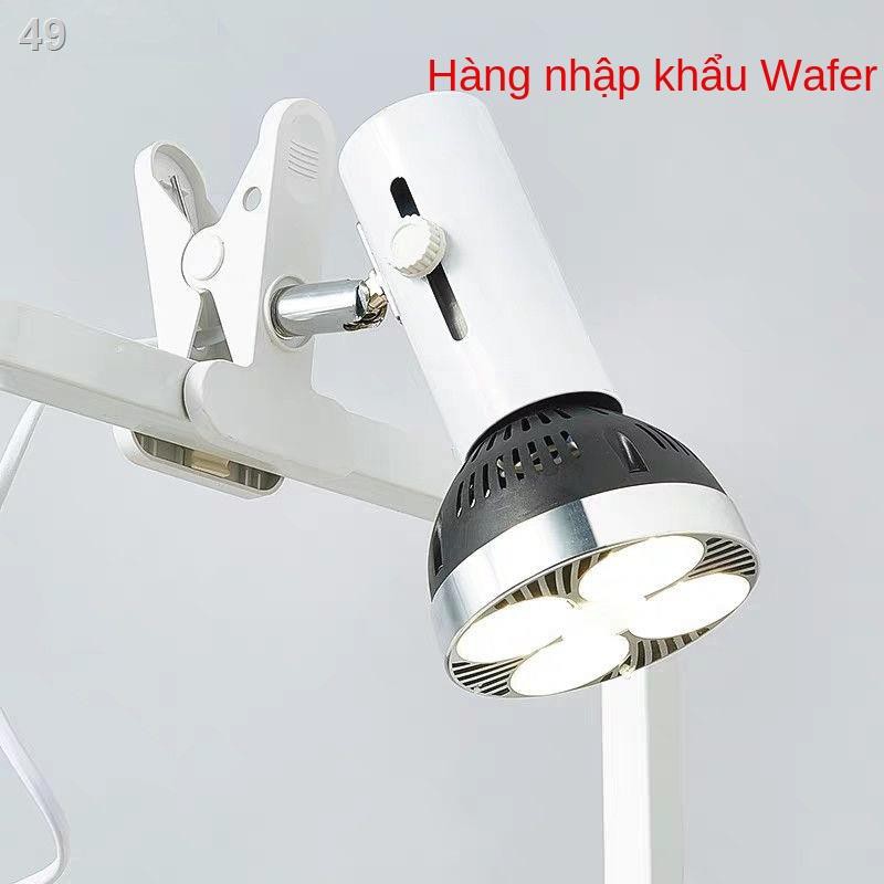 IĐèn LED chiếu điểm dạng clip cho cửa hàng, hội trường, đám cưới di động siêu sáng với dòng phích cắm không kết